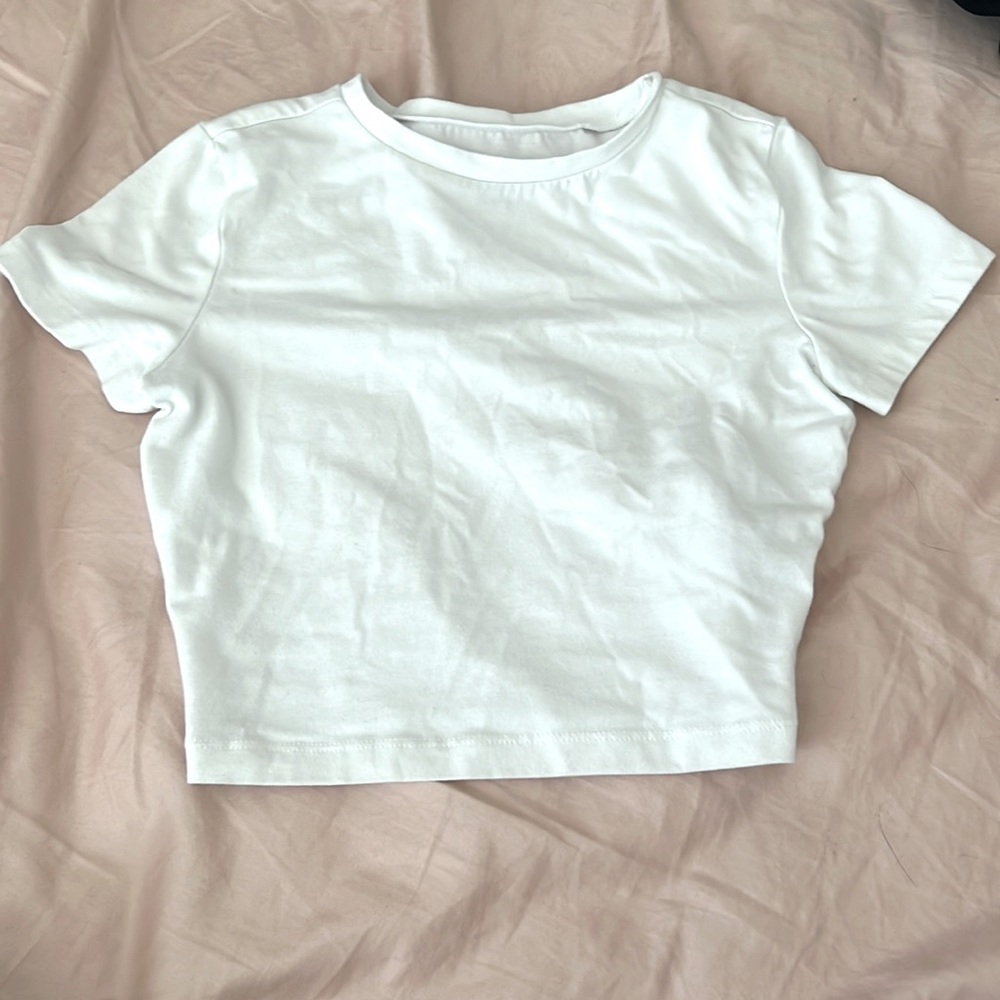 Wild Fable | Cropped Top